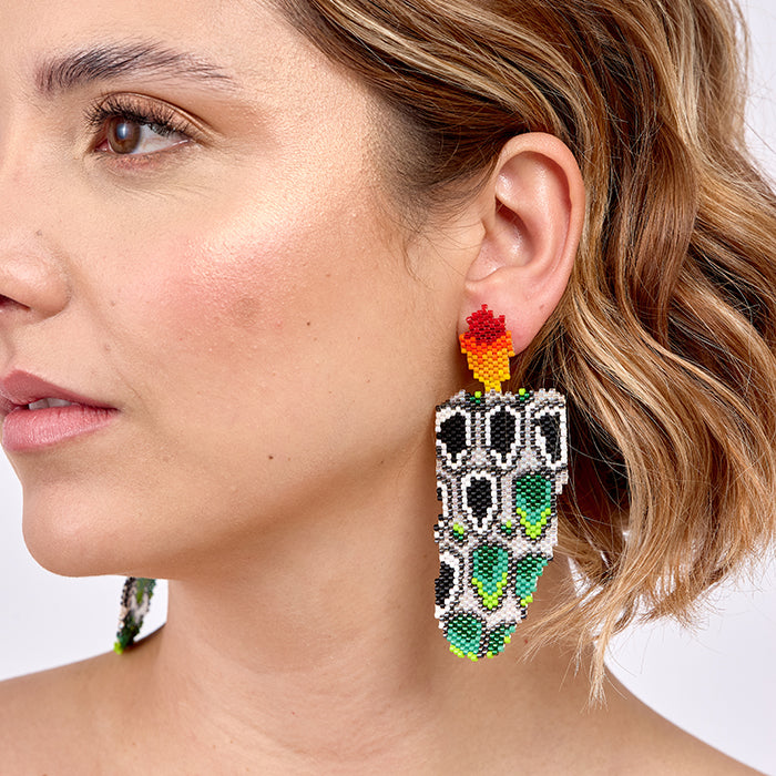 Aretes Austral