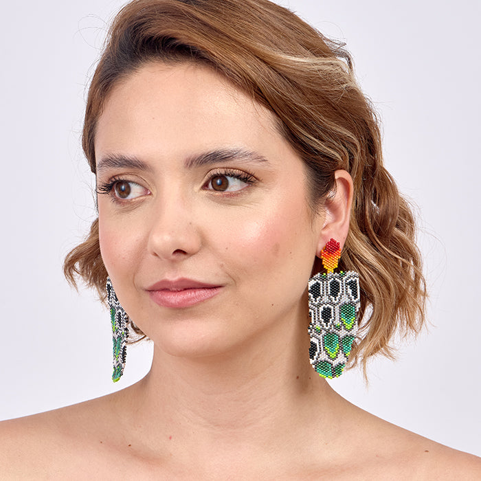 Aretes Austral