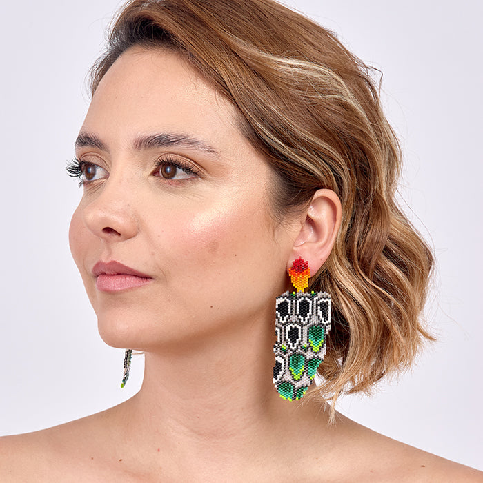 Aretes Austral