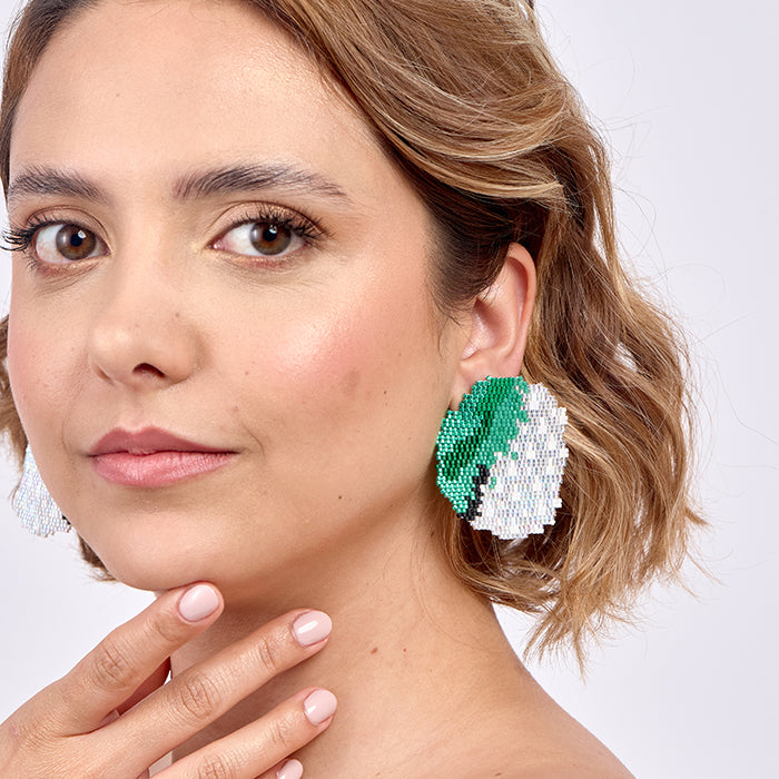 Aretes Cordillerano