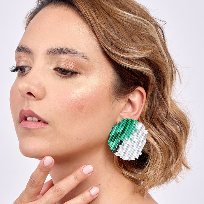 Aretes Cordillerano