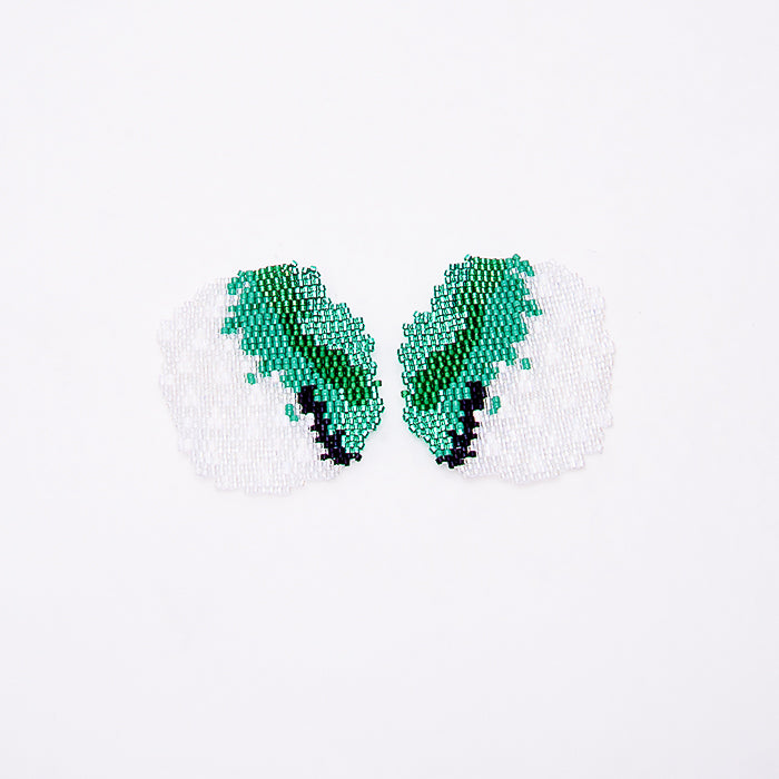 Aretes Cordillerano