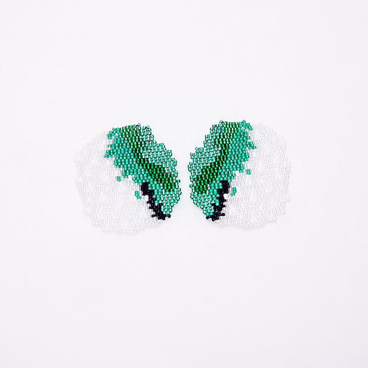 Aretes Cordillerano