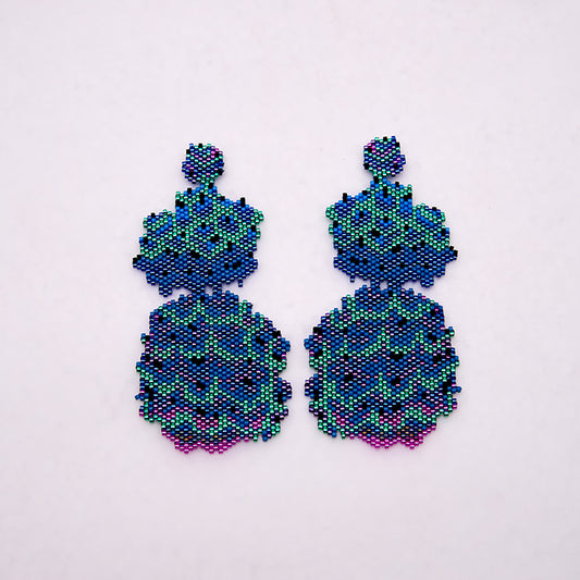 Aretes Coruscans