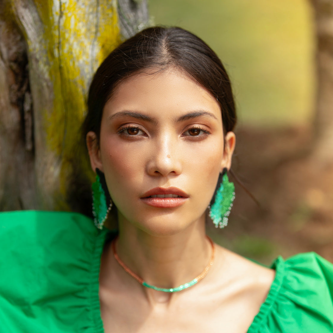 Aretes Chalybeus