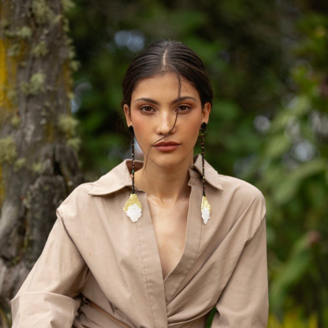 Aretes Florisuga