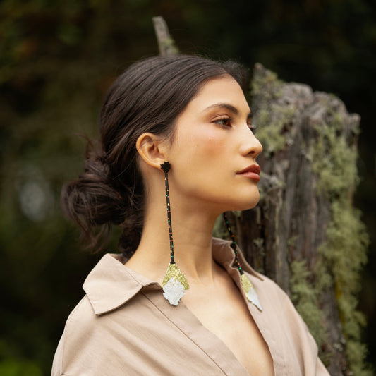 Aretes Florisuga