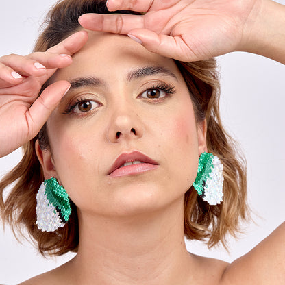 Aretes Cordillerano