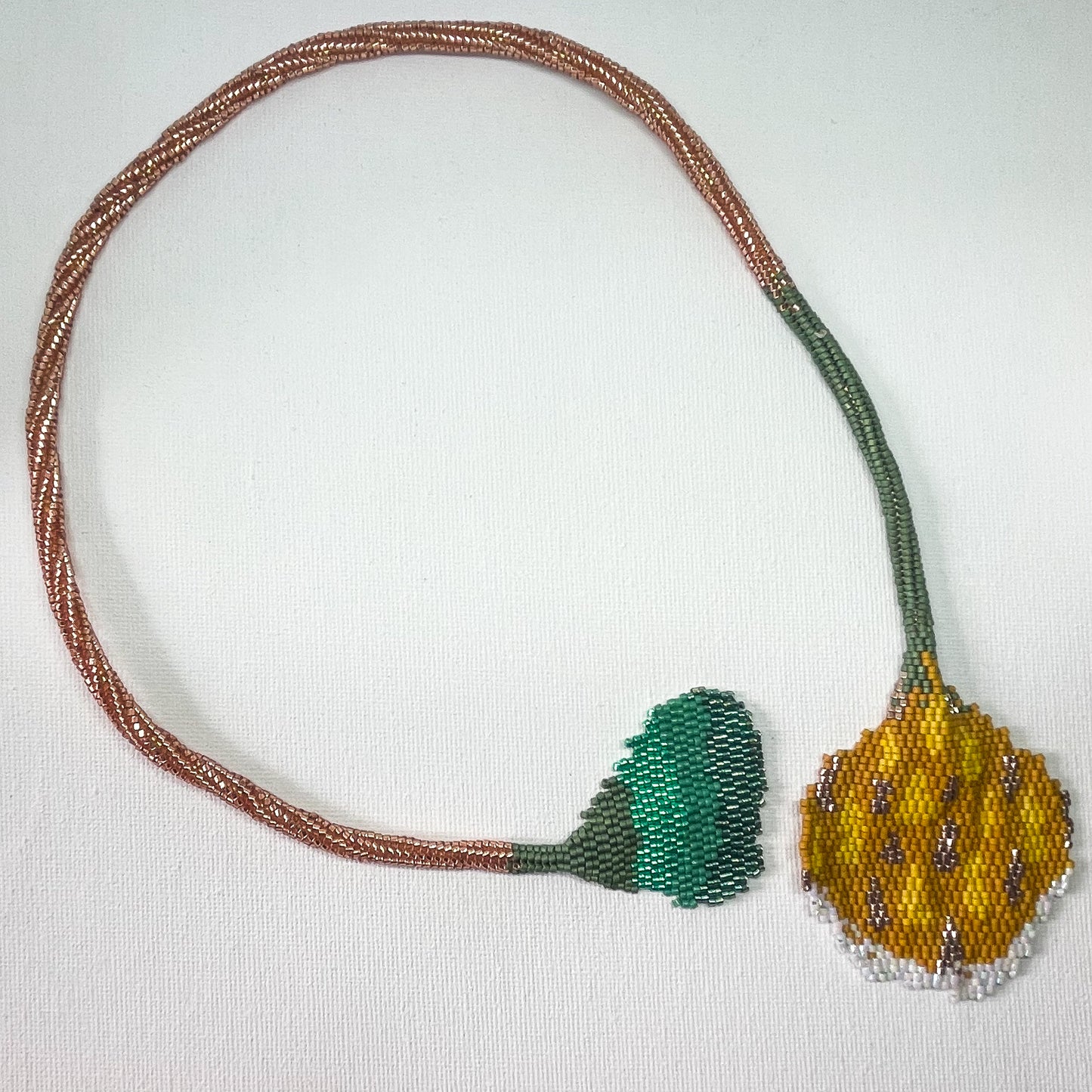 Collar Caudus