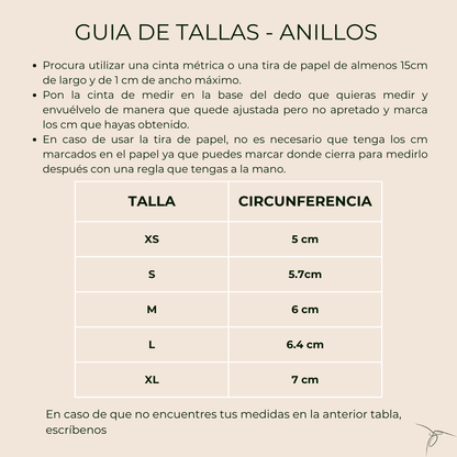 Anillo Hylocharis